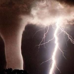 Meet your Posher, Grayson